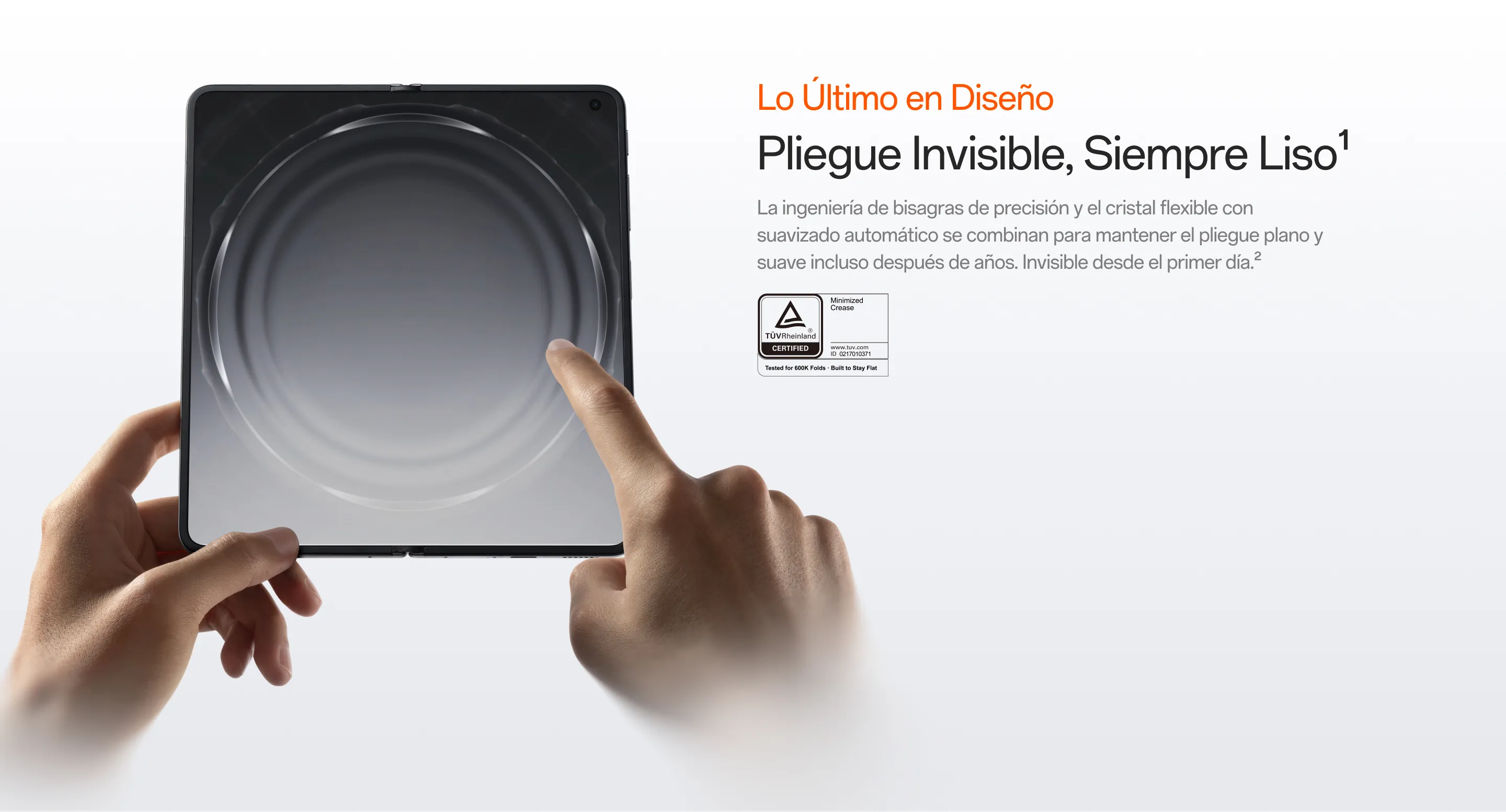 Find-N6-pagina-4-1779746804514